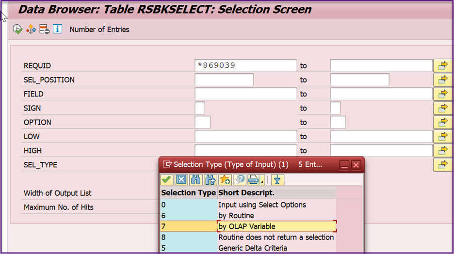 Screenshot9: Initial screen & Input to the table RSBKSELECT