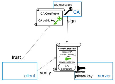 Client trusting CA and verifying server certificate